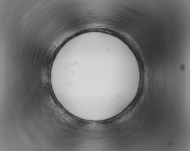 X0000116130929200912211712
