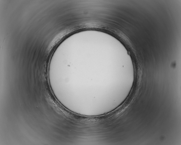 X0000116130930200912211712