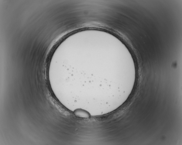 X0000116130931200912211712