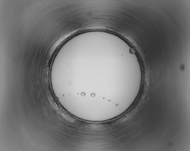 X0000116130933200912211712