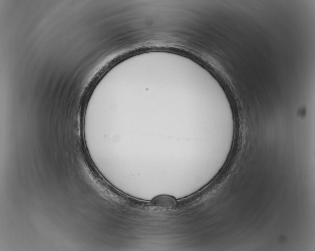 X0000116130934200912211712