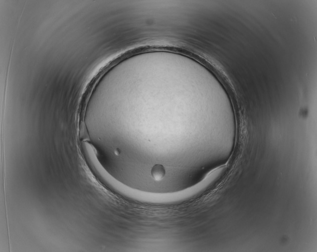 X0000116130935200912211712