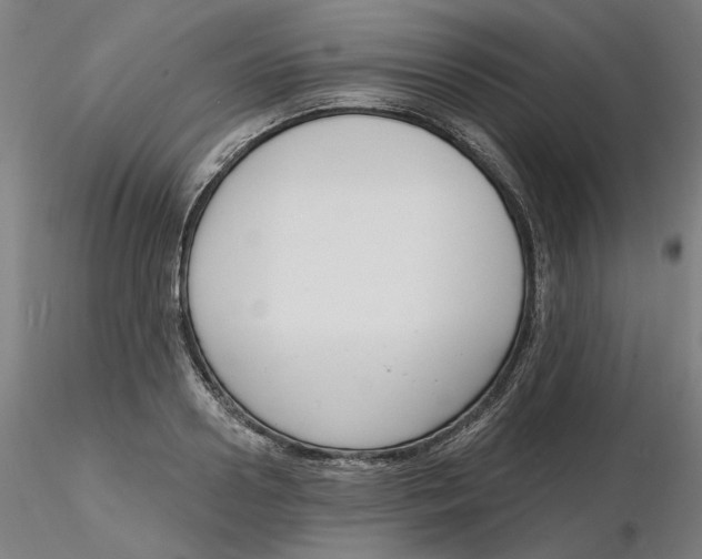 X0000116130938200912211712