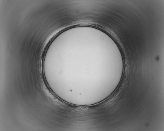 X0000116130939200912211712