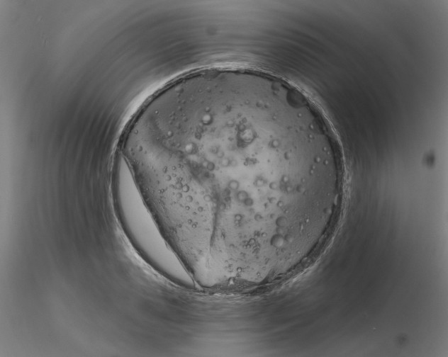 X0000116130941200912211712