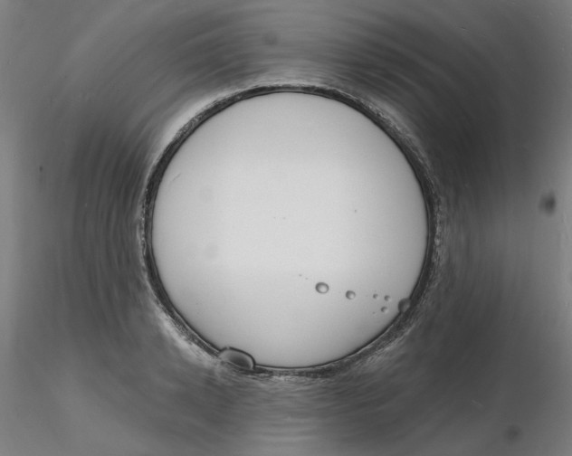 X0000116130942200912211712
