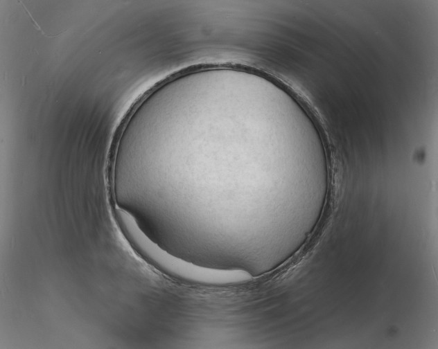 X0000116130943200912211712