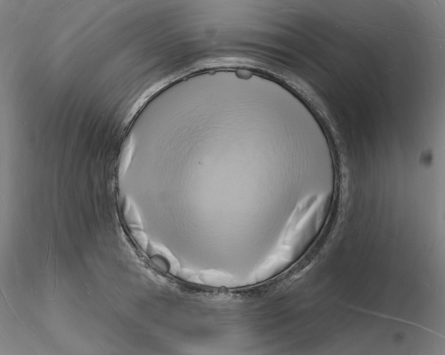 X0000116130945200912211712