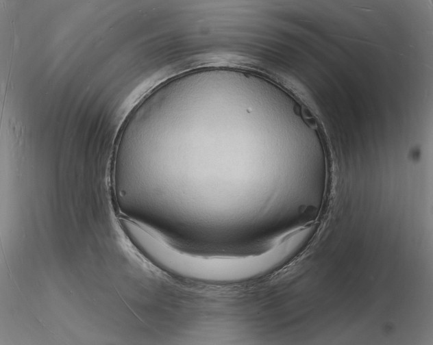 X0000116130946200912211712