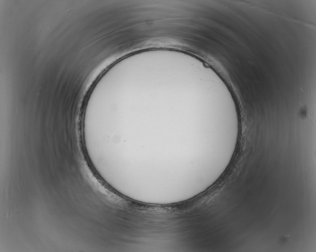 X0000116130947200912211712