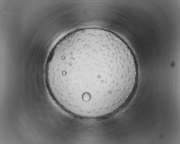 X0000116130949200912211712