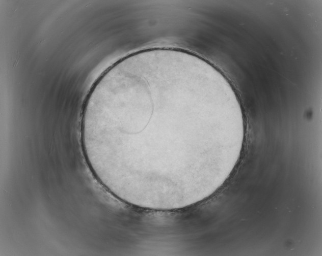 X0000116130950200912211712