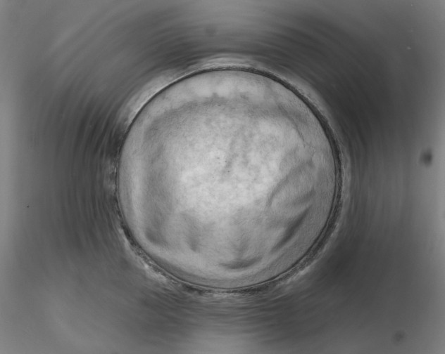 X0000116130953200912211712