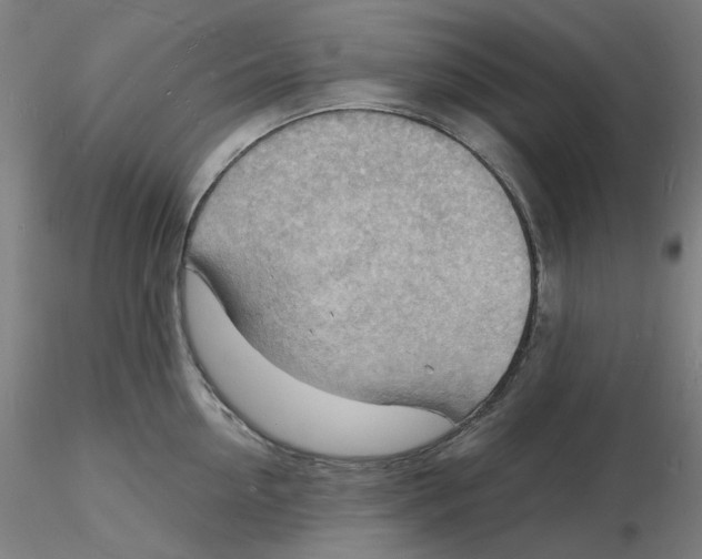 X0000116130954200912211712