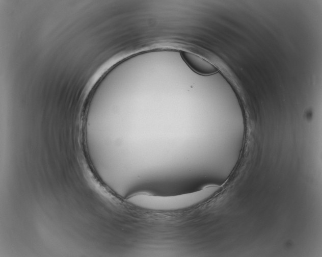 X0000116130955200912211712