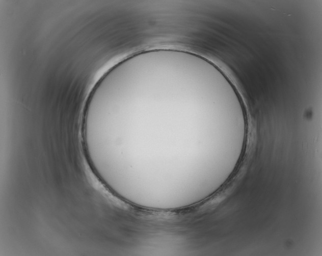 X0000116130957200912211712