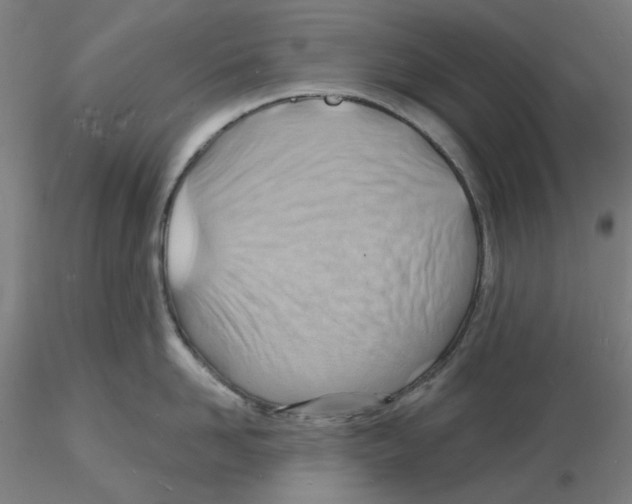 X0000116130958200912211712