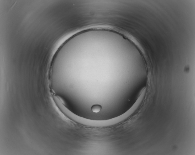 X0000116130959200912211712