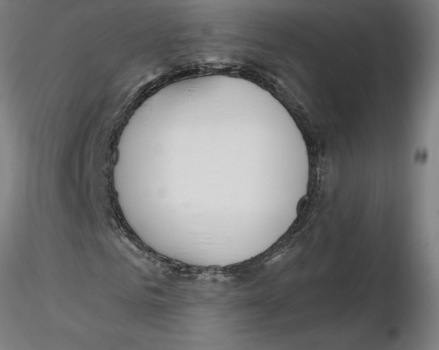 X0000116130961200912211712