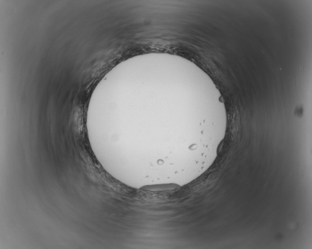 X0000116130962200912211712