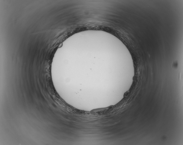 X0000116130964200912211712