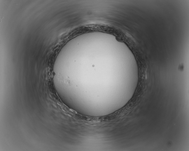 X0000116130965200912211712