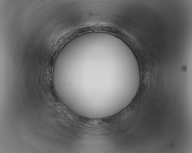 X0000116130966200912211712