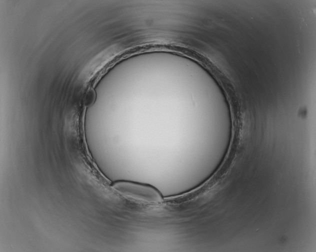 X0000116130969200912211712