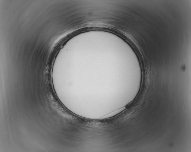 X0000116130971200912211712