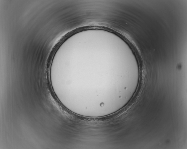 X0000116130972200912211712