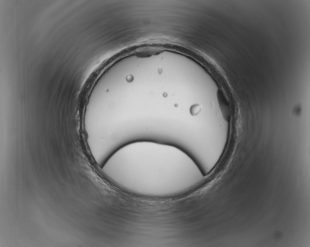 X0000116130973200912211712
