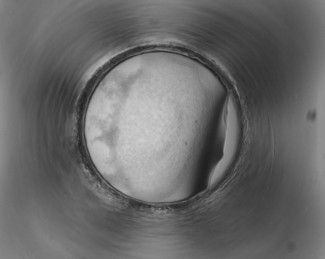 X0000116130975200912211711