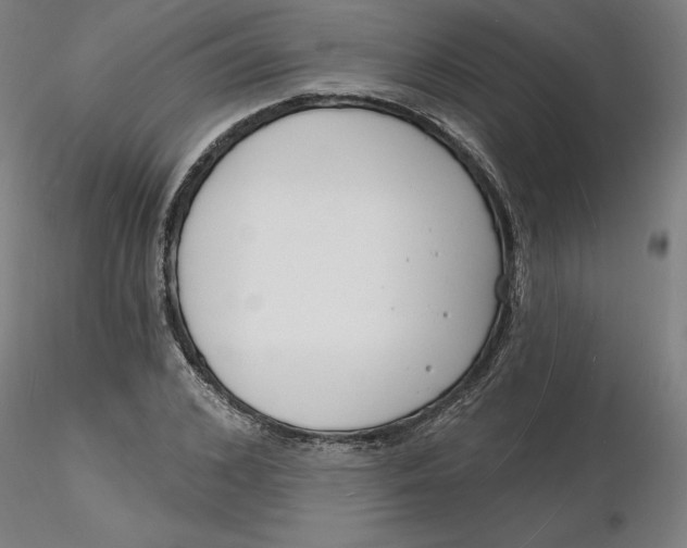 X0000116130976200912211711