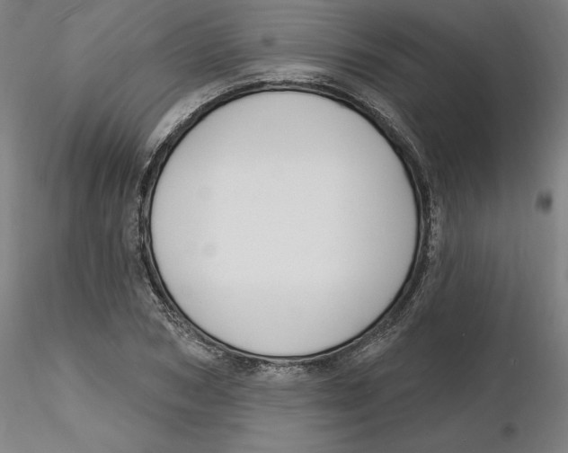 X0000116130978200912211711