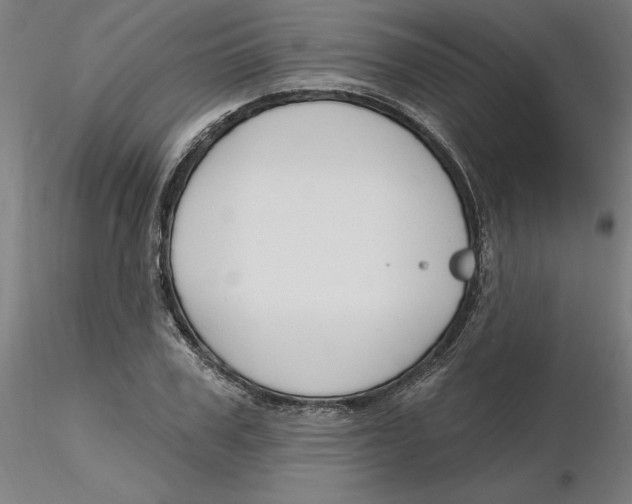 X0000116130979200912211711
