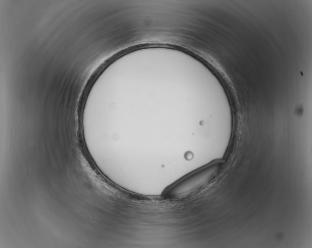 X0000116130980200912211711