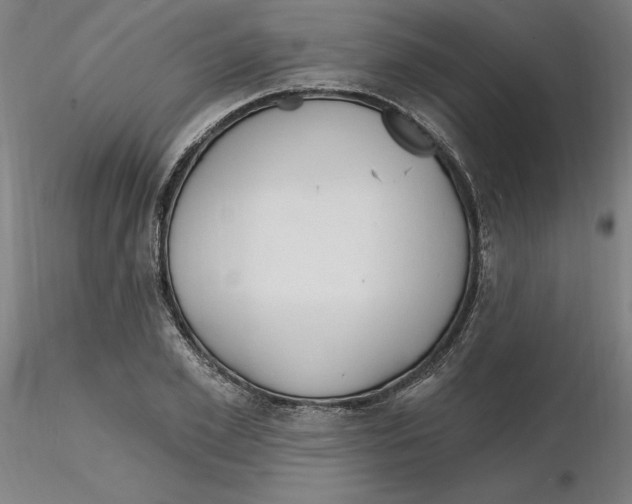 X0000116130981200912211711