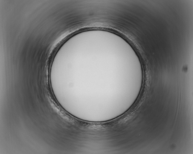 X0000116130982200912211711
