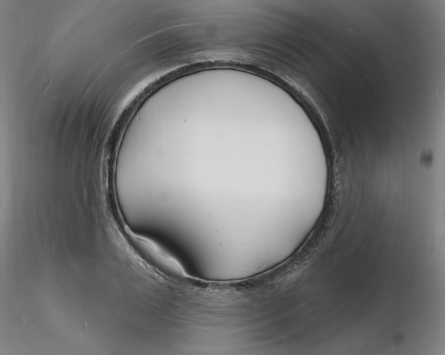 X0000116130983200912211711