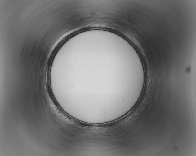 X0000116130984200912211711