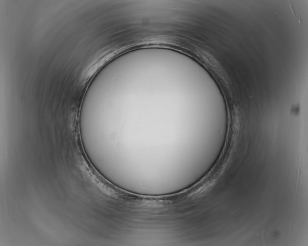 X0000116130985200912211711