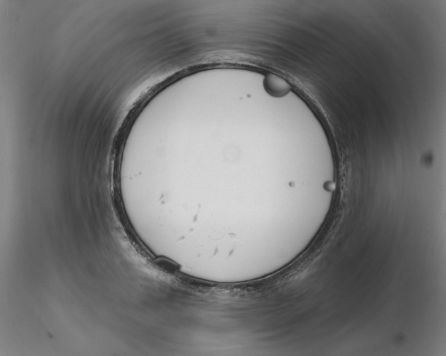 X0000116130987200912211711
