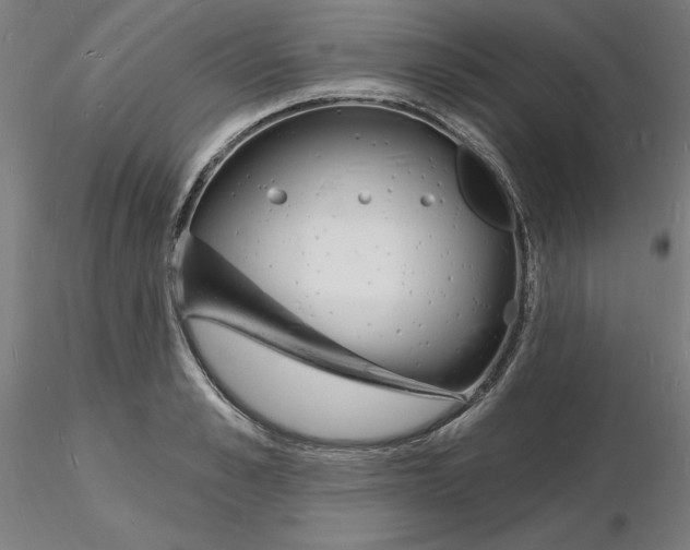X0000116130989200912211711