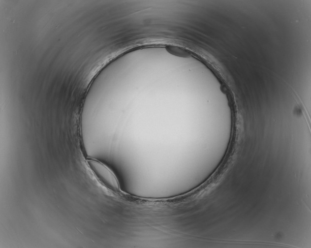 X0000116130993200912211711
