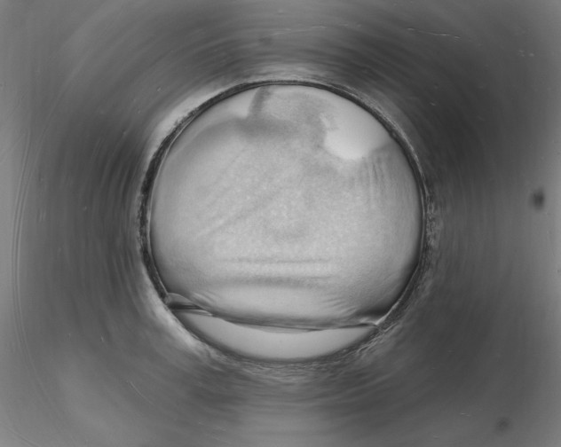 X0000116130995200912211711