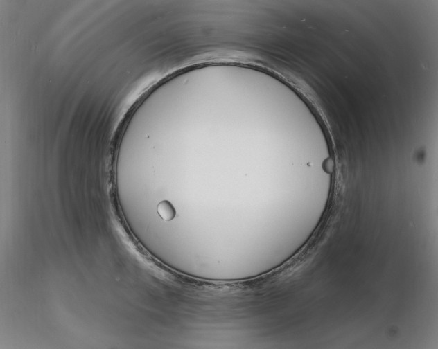 X0000116130997200912211711