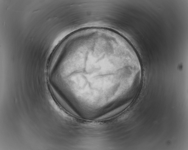 X0000116130998200912211711