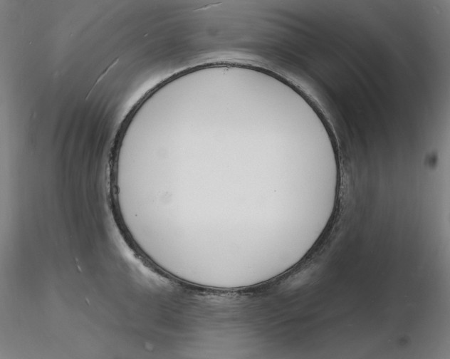 X0000116130999200912211711