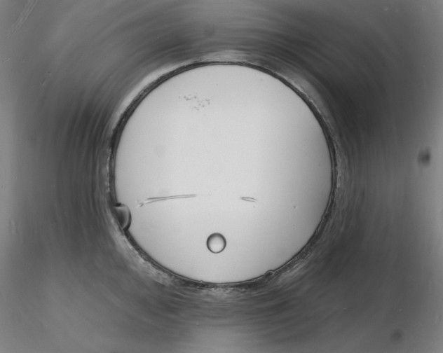 X0000116131000200912211711