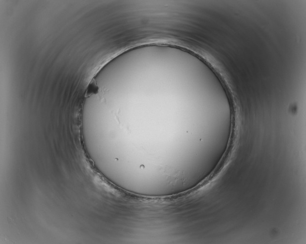 X0000116131001200912211711